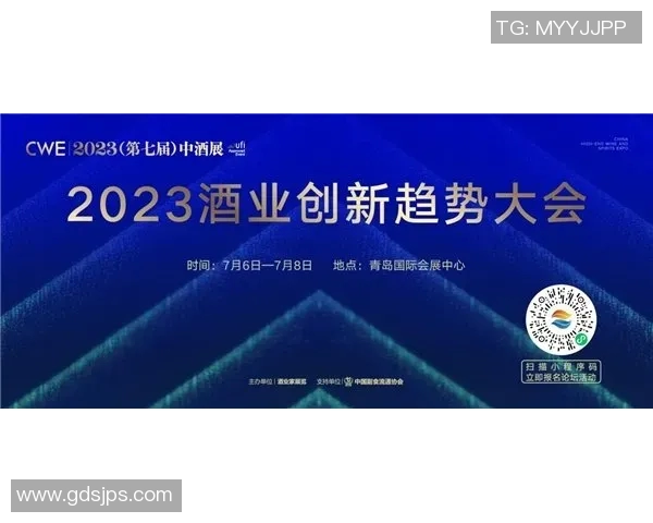 重磅专题探讨FPX边路渗透创新策略与战术变革的深度分析